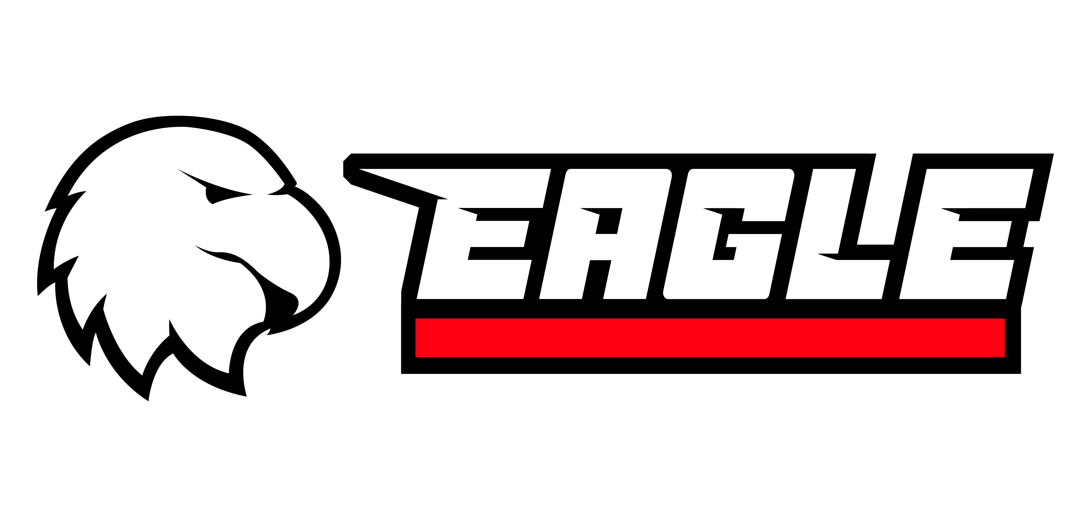 Dual Eagle Logo - Outline-1